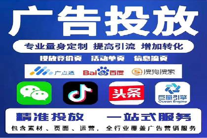 案例研究：百度竞价广告投放效果